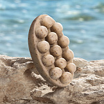 Набор "Красота моря" 900 мл